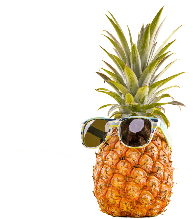 pinapple flexible pricing-min